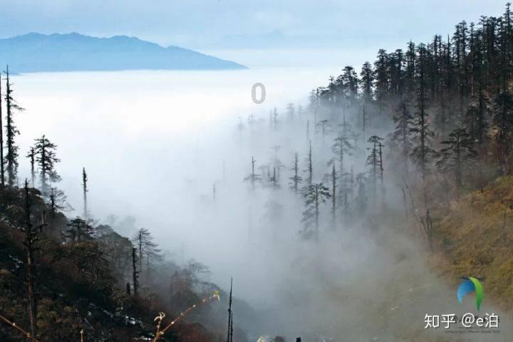 感冒吃错药住进ICU!紧急提醒:阿莫西林不是消炎药!